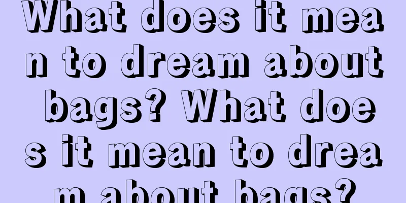 What does it mean to dream about bags? What does it mean to dream about bags?