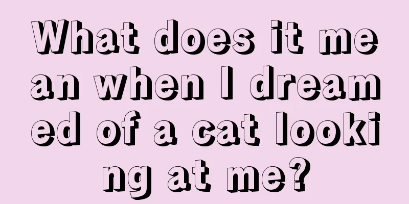 What does it mean when I dreamed of a cat looking at me?