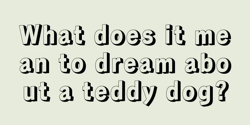 What does it mean to dream about a teddy dog?