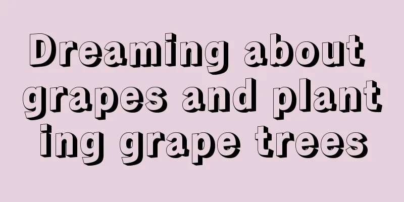 Dreaming about grapes and planting grape trees