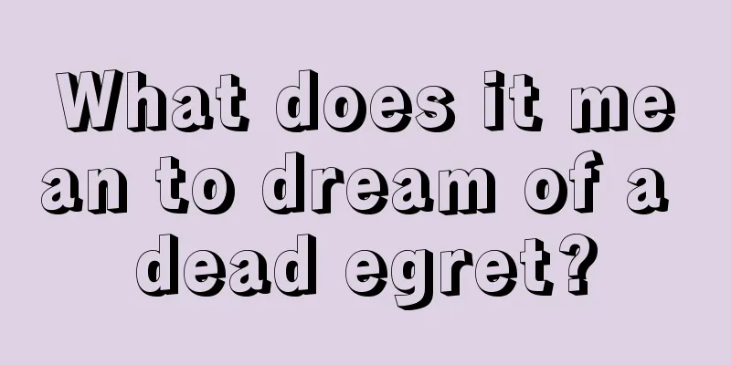 What does it mean to dream of a dead egret?