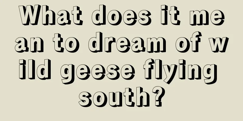 What does it mean to dream of wild geese flying south?