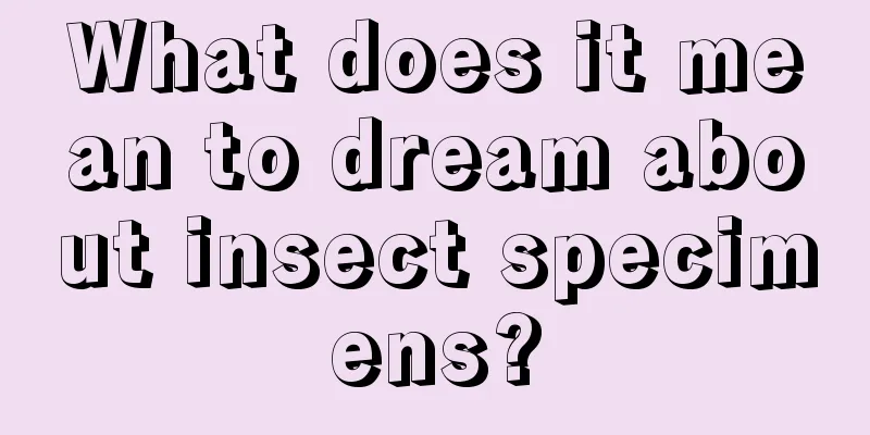 What does it mean to dream about insect specimens?