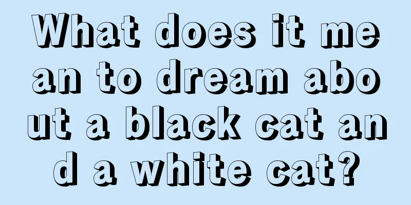 What does it mean to dream about a black cat and a white cat?