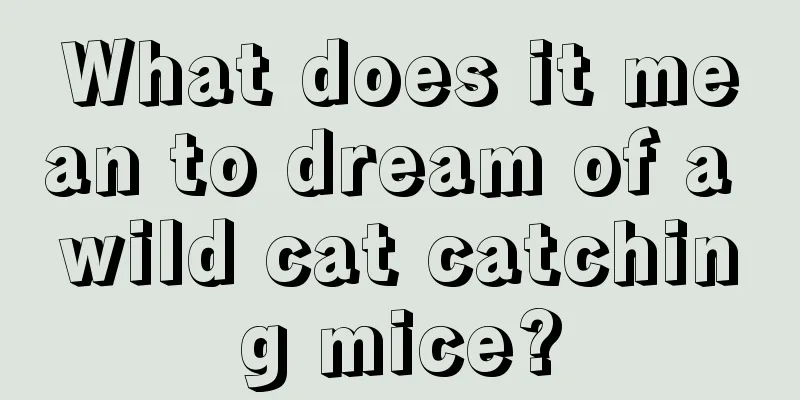 What does it mean to dream of a wild cat catching mice?