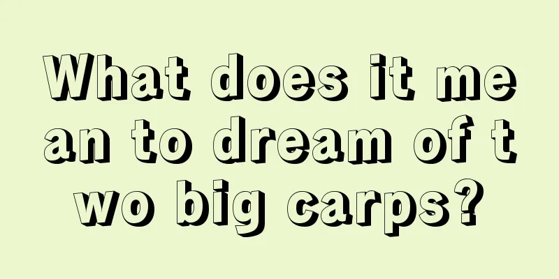 What does it mean to dream of two big carps?