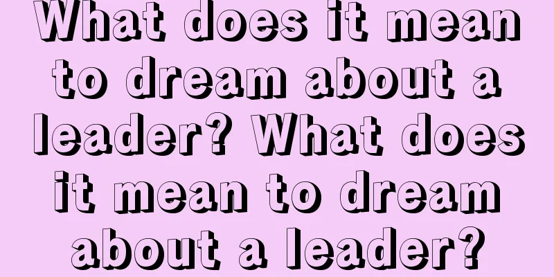 What does it mean to dream about a leader? What does it mean to dream about a leader?