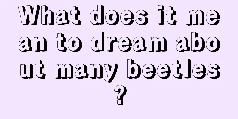 What does it mean to dream about many beetles?