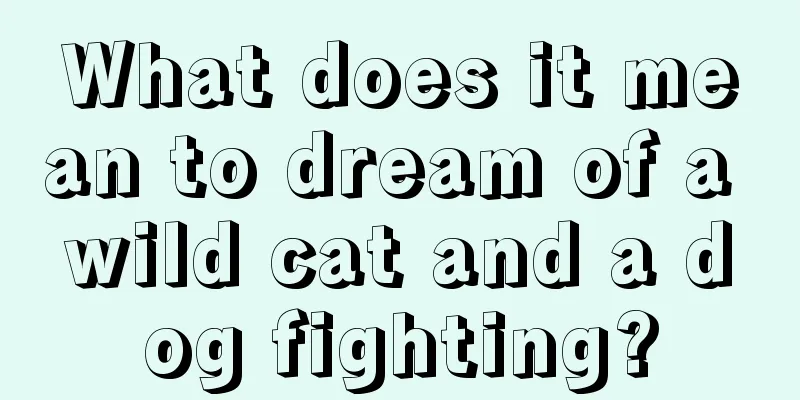 What does it mean to dream of a wild cat and a dog fighting?