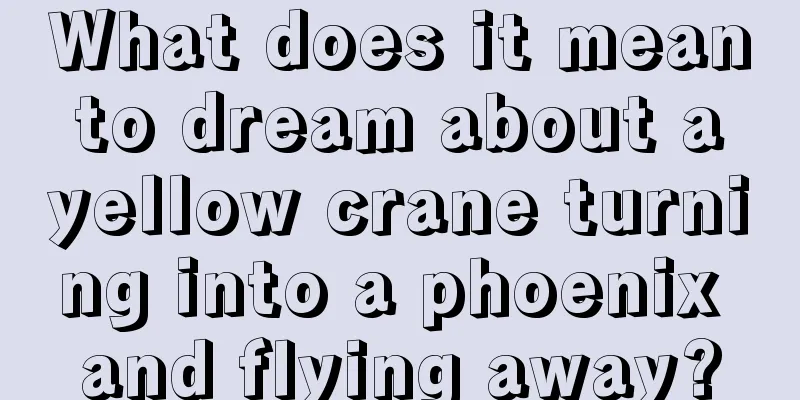 What does it mean to dream about a yellow crane turning into a phoenix and flying away?