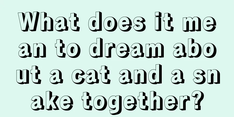 What does it mean to dream about a cat and a snake together?