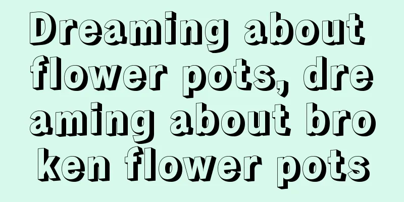 Dreaming about flower pots, dreaming about broken flower pots