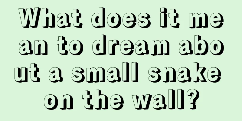 What does it mean to dream about a small snake on the wall?