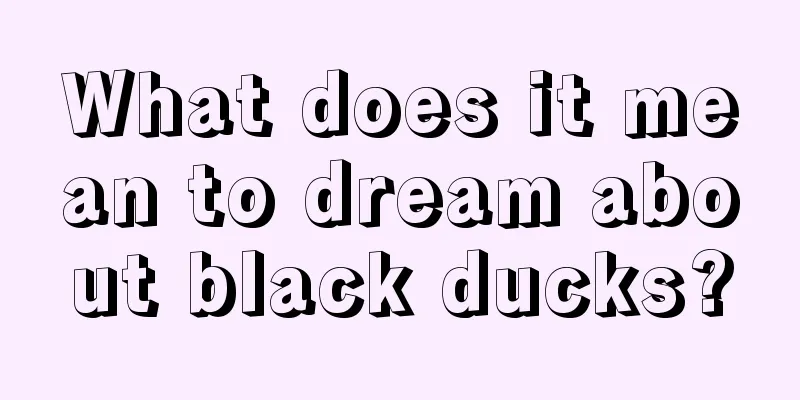 What does it mean to dream about black ducks?