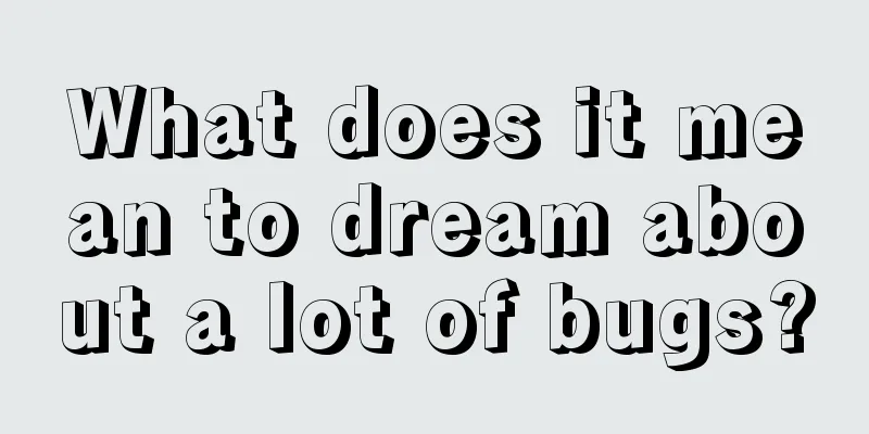 What does it mean to dream about a lot of bugs?