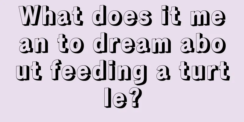 What does it mean to dream about feeding a turtle?