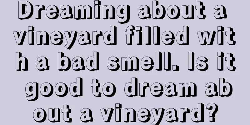 Dreaming about a vineyard filled with a bad smell. Is it good to dream about a vineyard?