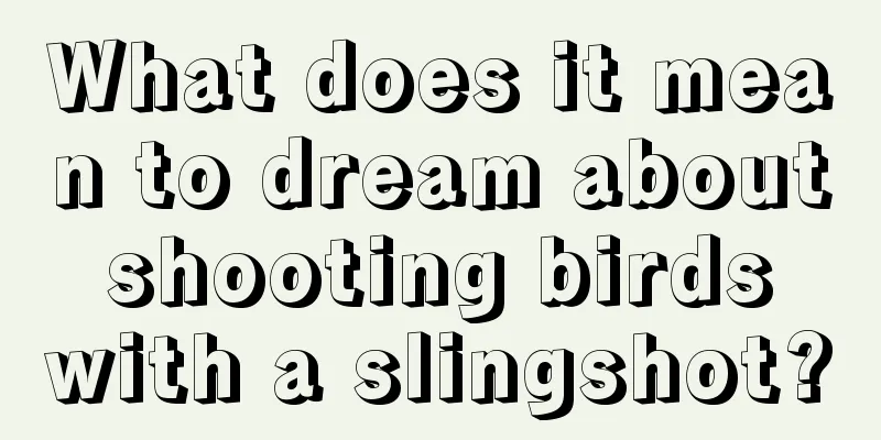 What does it mean to dream about shooting birds with a slingshot?