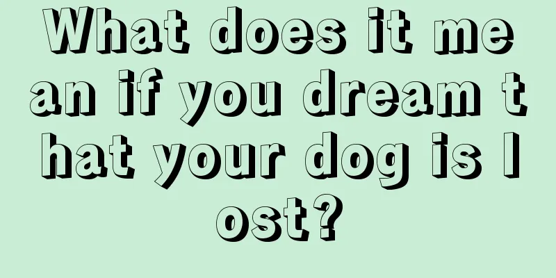 What does it mean if you dream that your dog is lost?