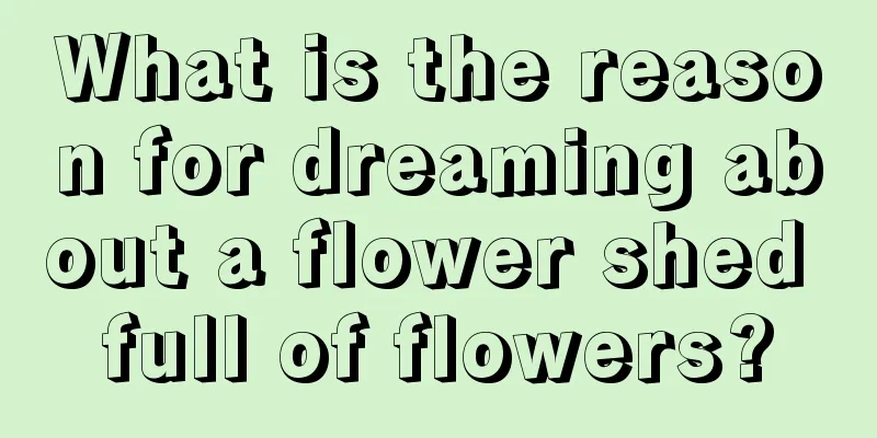 What is the reason for dreaming about a flower shed full of flowers?