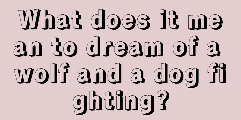 What does it mean to dream of a wolf and a dog fighting?