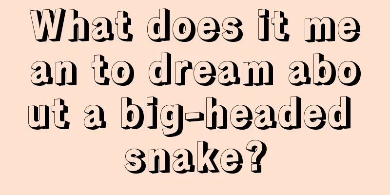 What does it mean to dream about a big-headed snake?