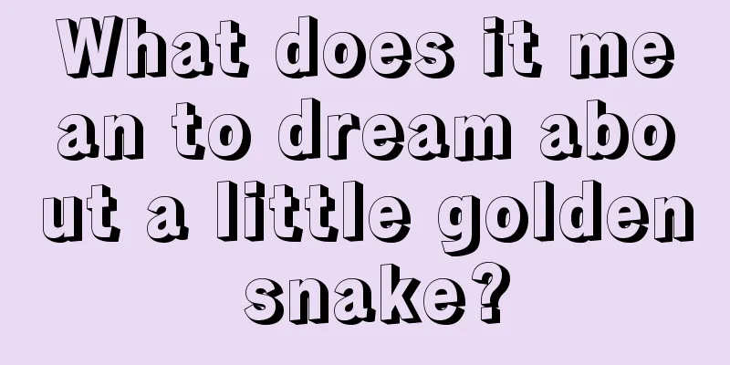 What does it mean to dream about a little golden snake?