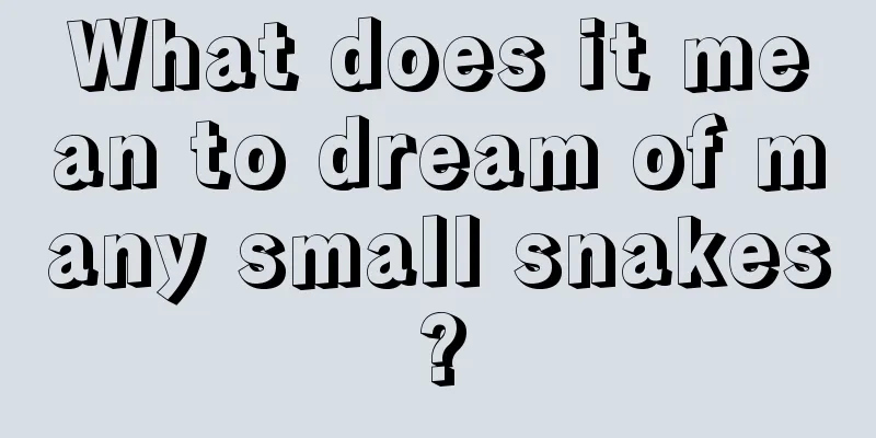 What does it mean to dream of many small snakes?