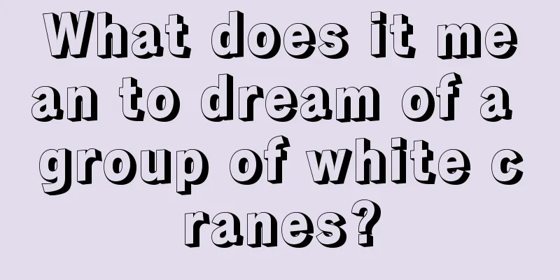 What does it mean to dream of a group of white cranes?