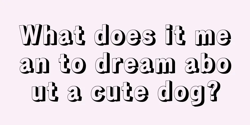 What does it mean to dream about a cute dog?