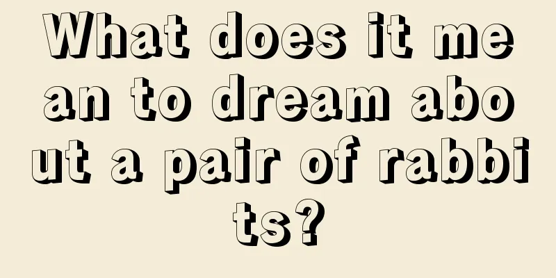 What does it mean to dream about a pair of rabbits?