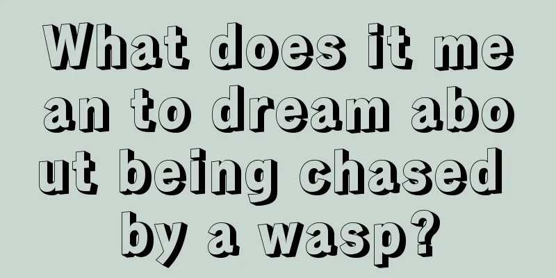 What does it mean to dream about being chased by a wasp?