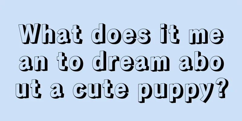 What does it mean to dream about a cute puppy?