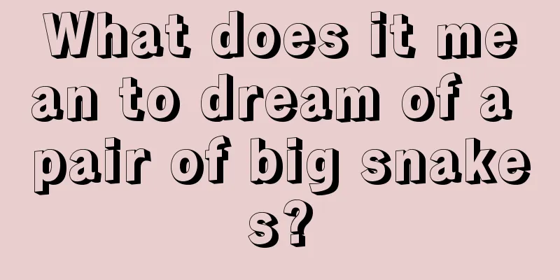 What does it mean to dream of a pair of big snakes?