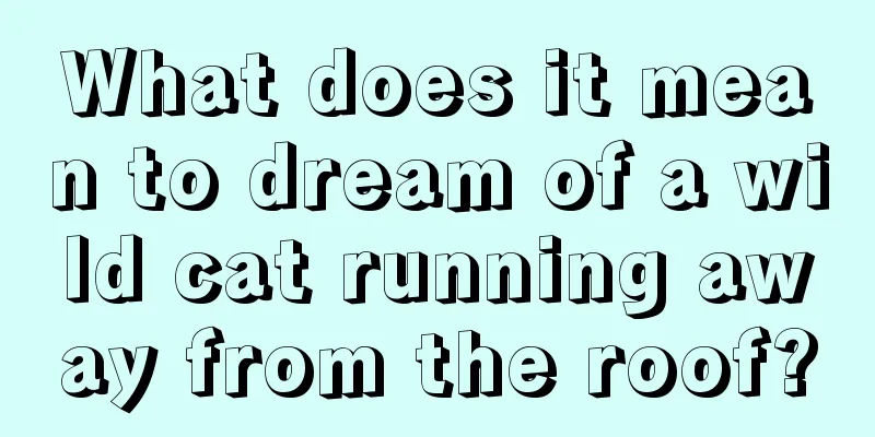 What does it mean to dream of a wild cat running away from the roof?