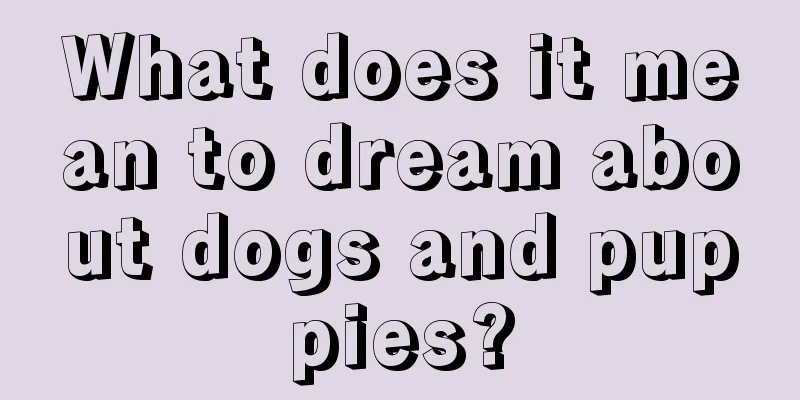 What does it mean to dream about dogs and puppies?