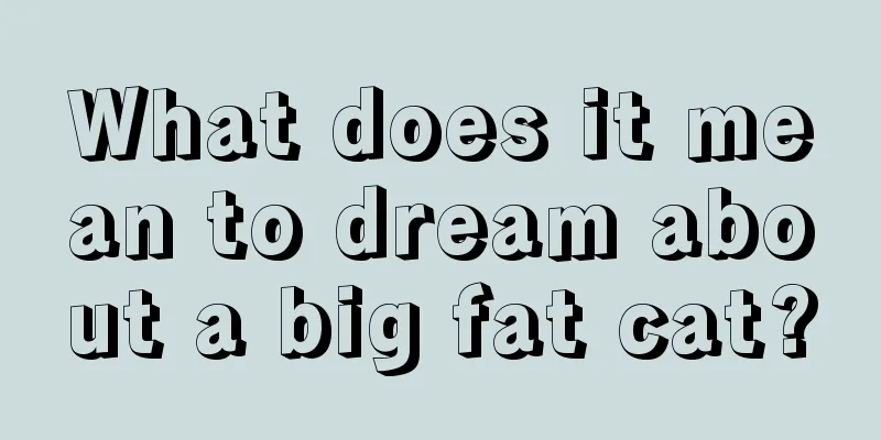 What does it mean to dream about a big fat cat?