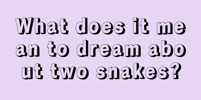 What does it mean to dream about two snakes?