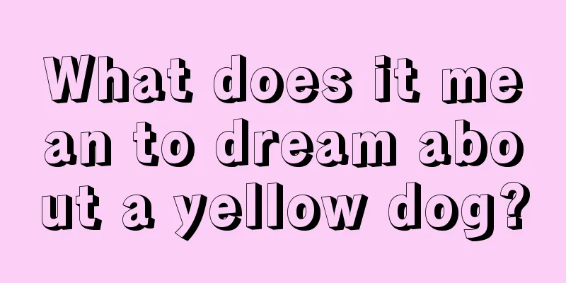 What does it mean to dream about a yellow dog?