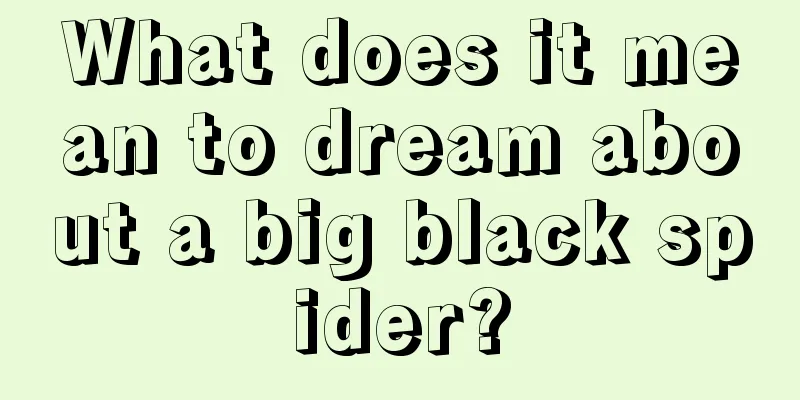 What does it mean to dream about a big black spider?