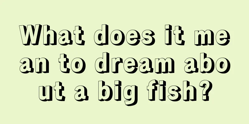 What does it mean to dream about a big fish?