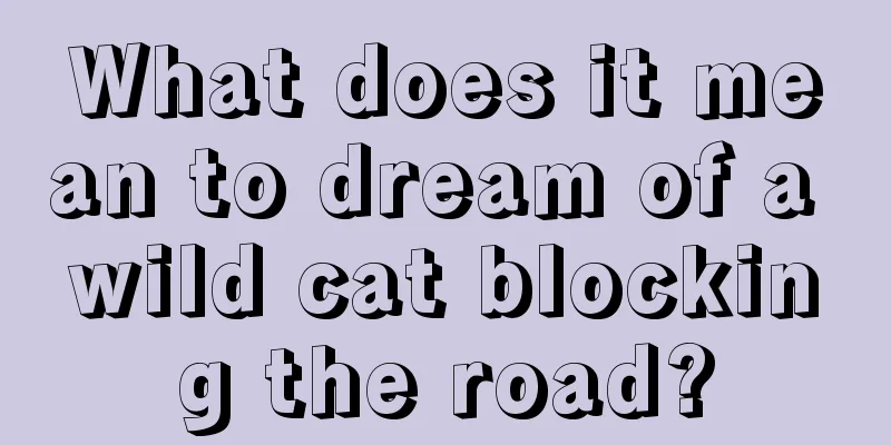 What does it mean to dream of a wild cat blocking the road?