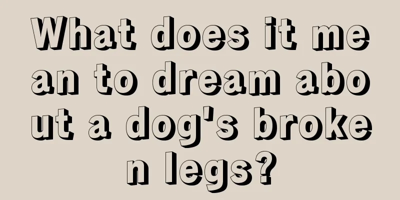 What does it mean to dream about a dog's broken legs?