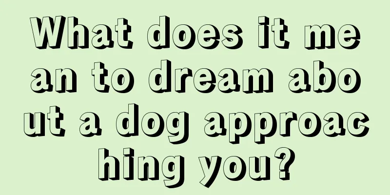 What does it mean to dream about a dog approaching you?