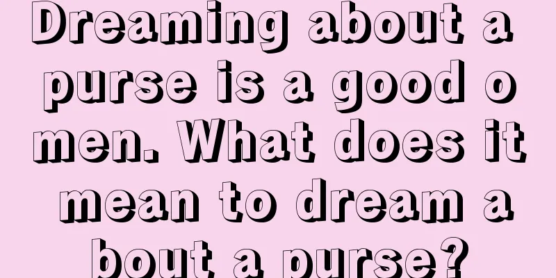 Dreaming about a purse is a good omen. What does it mean to dream about a purse?