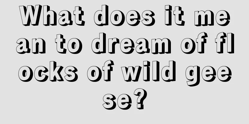 What does it mean to dream of flocks of wild geese?