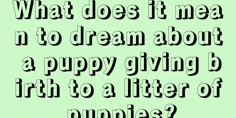 What does it mean to dream about a puppy giving birth to a litter of puppies?