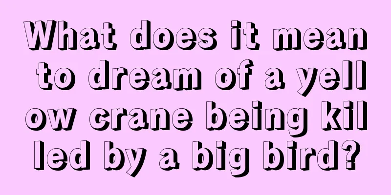 What does it mean to dream of a yellow crane being killed by a big bird?