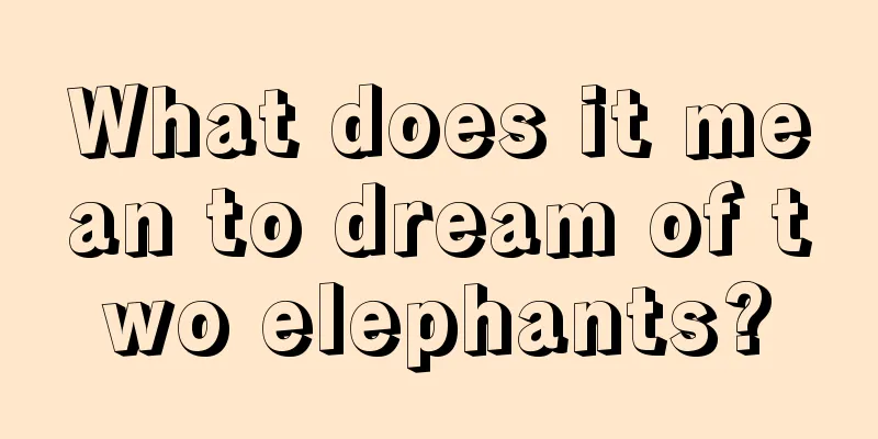 What does it mean to dream of two elephants?