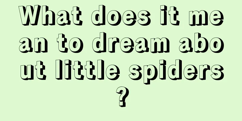 What does it mean to dream about little spiders?